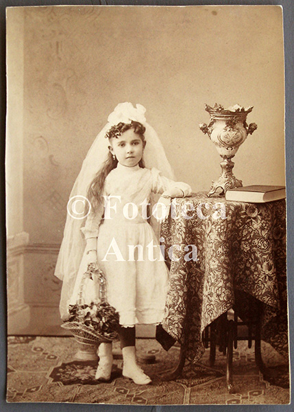  FTC-ANI-034