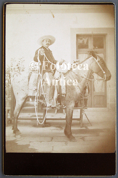  FTC-ANI-046
